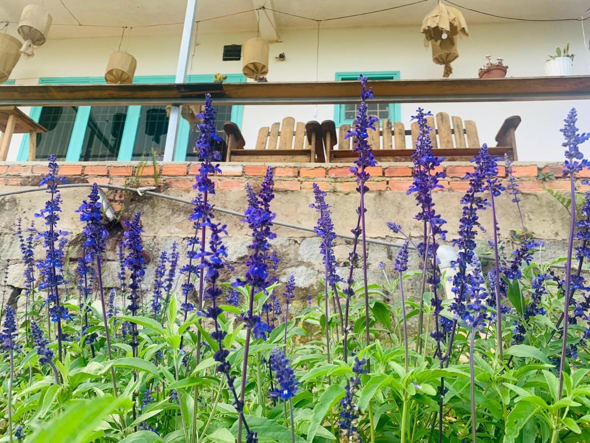 Thang Nam Ruc Ro - Dalat Homestay Экстерьер фото