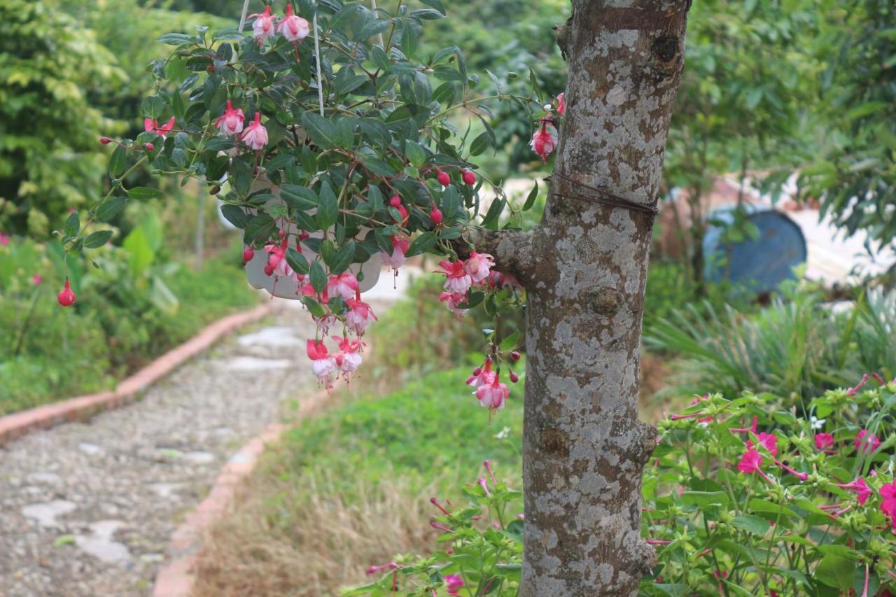 Thang Nam Ruc Ro - Dalat Homestay Экстерьер фото