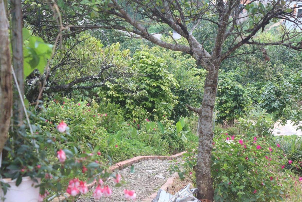 Thang Nam Ruc Ro - Dalat Homestay Экстерьер фото